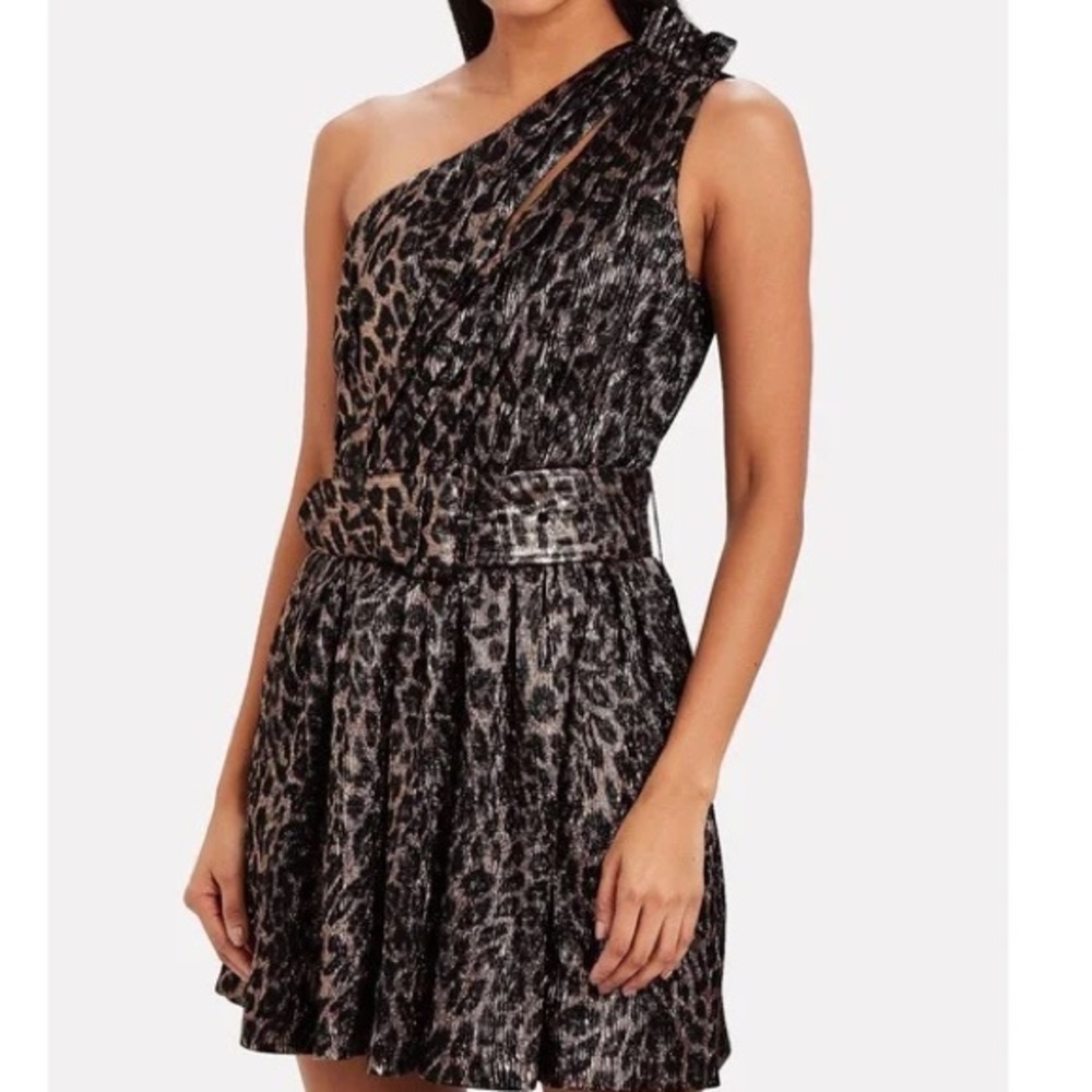 Retrofete Kayla Leopard Mini Dress